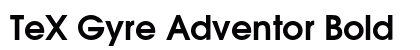 TeX Gyre Adventor Bold preview