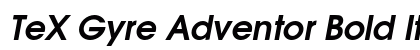 TeX Gyre Adventor Bold Italic Preview