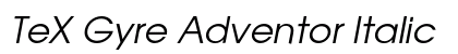 TeX Gyre Adventor Italic Preview