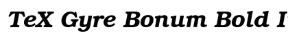 TeX Gyre Bonum Bold Italic Preview