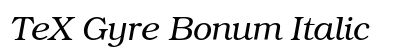 TeX Gyre Bonum Italic Preview