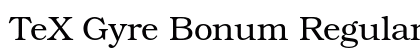 TeX Gyre Bonum Regular Preview