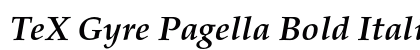 TeX Gyre Pagella Bold Italic Preview