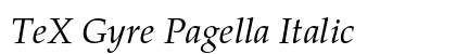 TeX Gyre Pagella Italic Preview