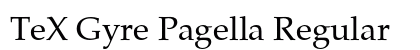 TeX Gyre Pagella Regular Preview