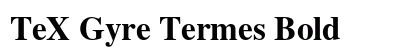 TeX Gyre Termes Bold preview