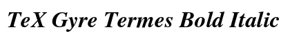 TeX Gyre Termes Bold Italic Preview