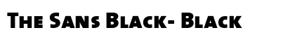 The Sans Black- Black preview