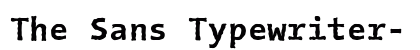 The Sans Typewriter- Bold preview