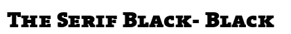 The Serif Black- Black preview