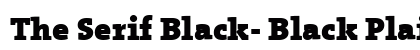 The Serif Black- Black Plain Preview