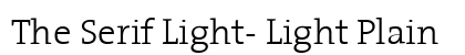 The Serif Light- Light Plain Preview