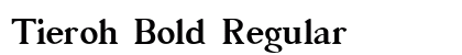 Tieroh Bold Regular preview