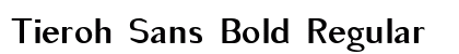 Tieroh Sans Bold Regular preview