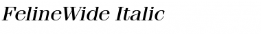 FelineWide Italic Font