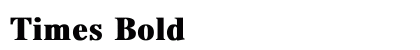Times Bold preview