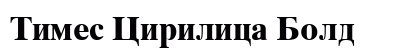 Times Cirilica Bold preview