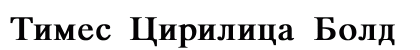 Times Cirilica Bold preview