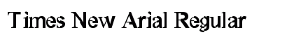 Times New Arial Regular preview
