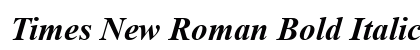 Times New Roman Bold Italic Preview