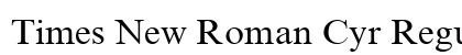 Times New Roman Cyr Regular Preview