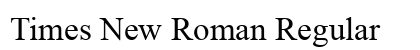 Times New Roman Regular Preview