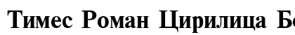 Times Roman Cirilica Bold preview