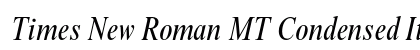 Times New Roman MT Condensed Italic Preview