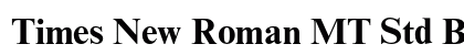 Times New Roman MT Std Bold preview