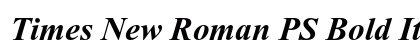 Times New Roman PS Bold Italic Preview
