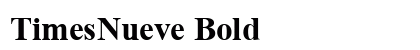 TimesNueve Bold preview