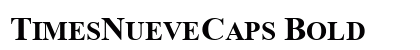TimesNueveCaps Bold preview