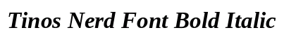Tinos Nerd Font Bold Italic Preview