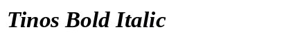 Tinos Bold Italic Preview