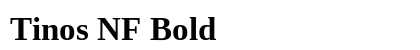 Tinos NF Bold preview