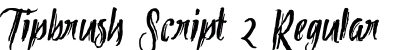 Tipbrush Script 2 Regular preview