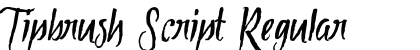 Tipbrush Script Regular preview