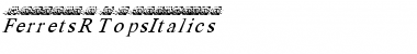 FerretsRTopsItalics Regular Font