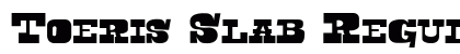 Toeris Slab Regular preview