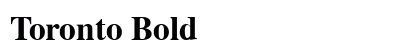 Toronto Bold preview