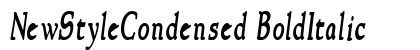 NewStyleCondensed BoldItalic Preview