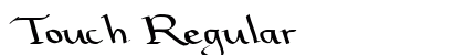 Touch Regular preview