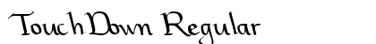 TouchDown Regular preview