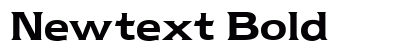 Newtext Bold preview