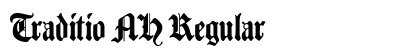 Traditio AH Regular preview