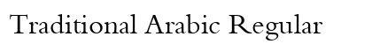 Traditional Arabic Regular preview