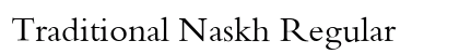 Traditional Naskh Regular preview