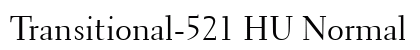 Transitional-521 HU Normal preview