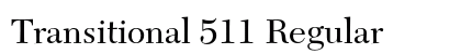 Transitional 511 Regular Preview