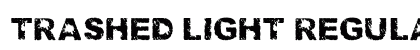 Trashed light Regular preview